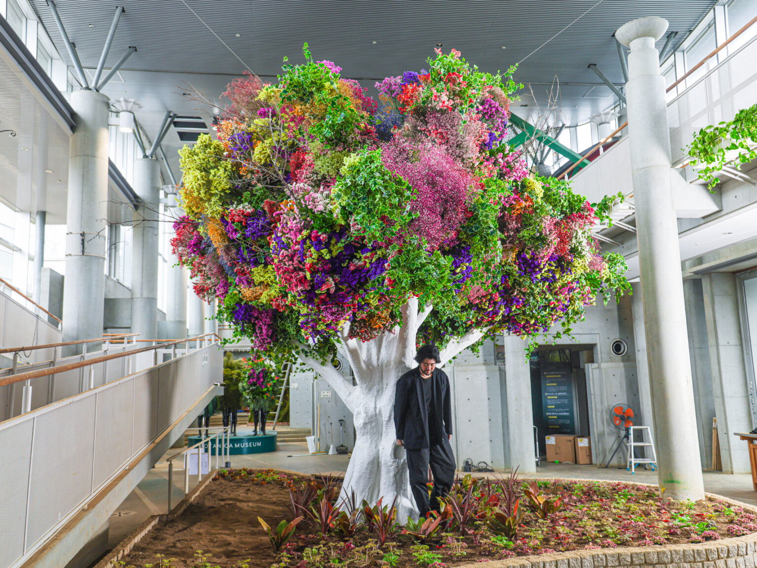 HIKARU SEINO BOTANICA MUSEUM CHIBA – MIRACLE TREE | 清野光 Hikaru Seino